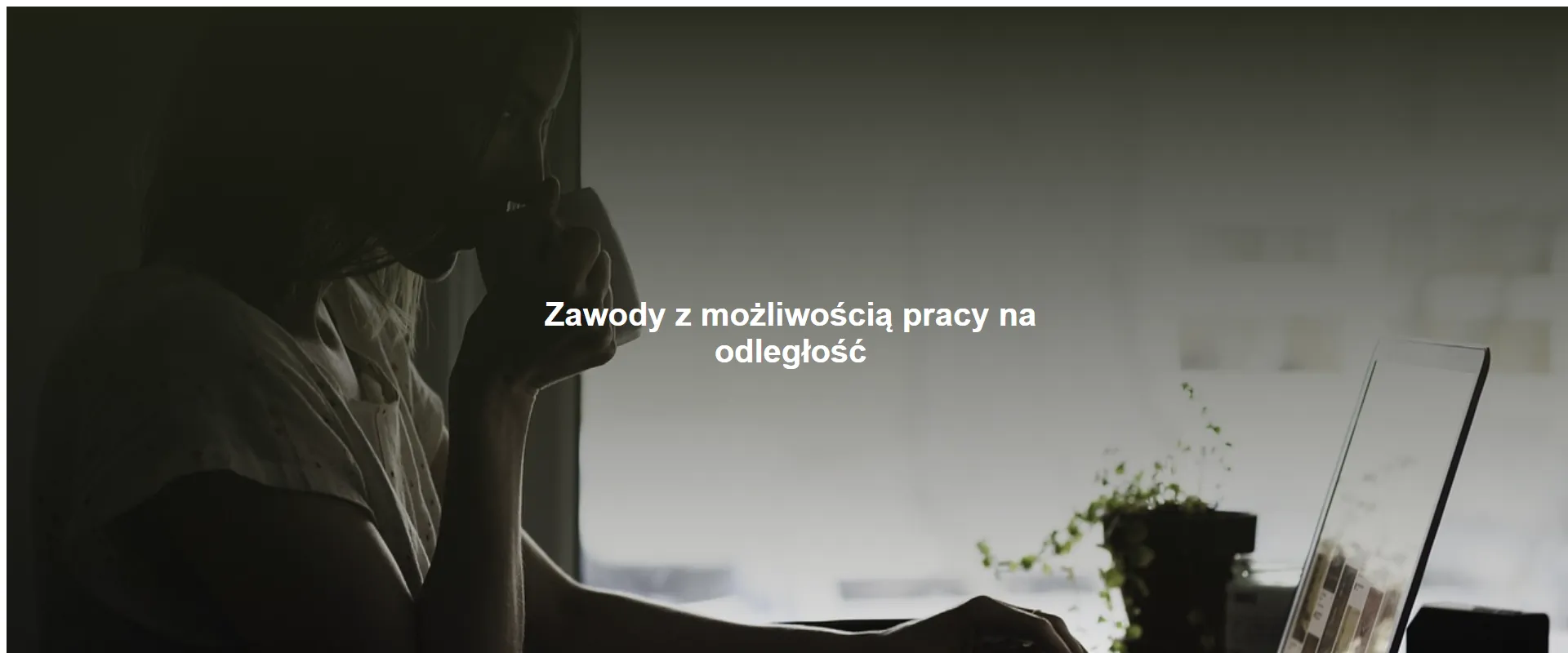 Zawody z możliwością pracy na odległość